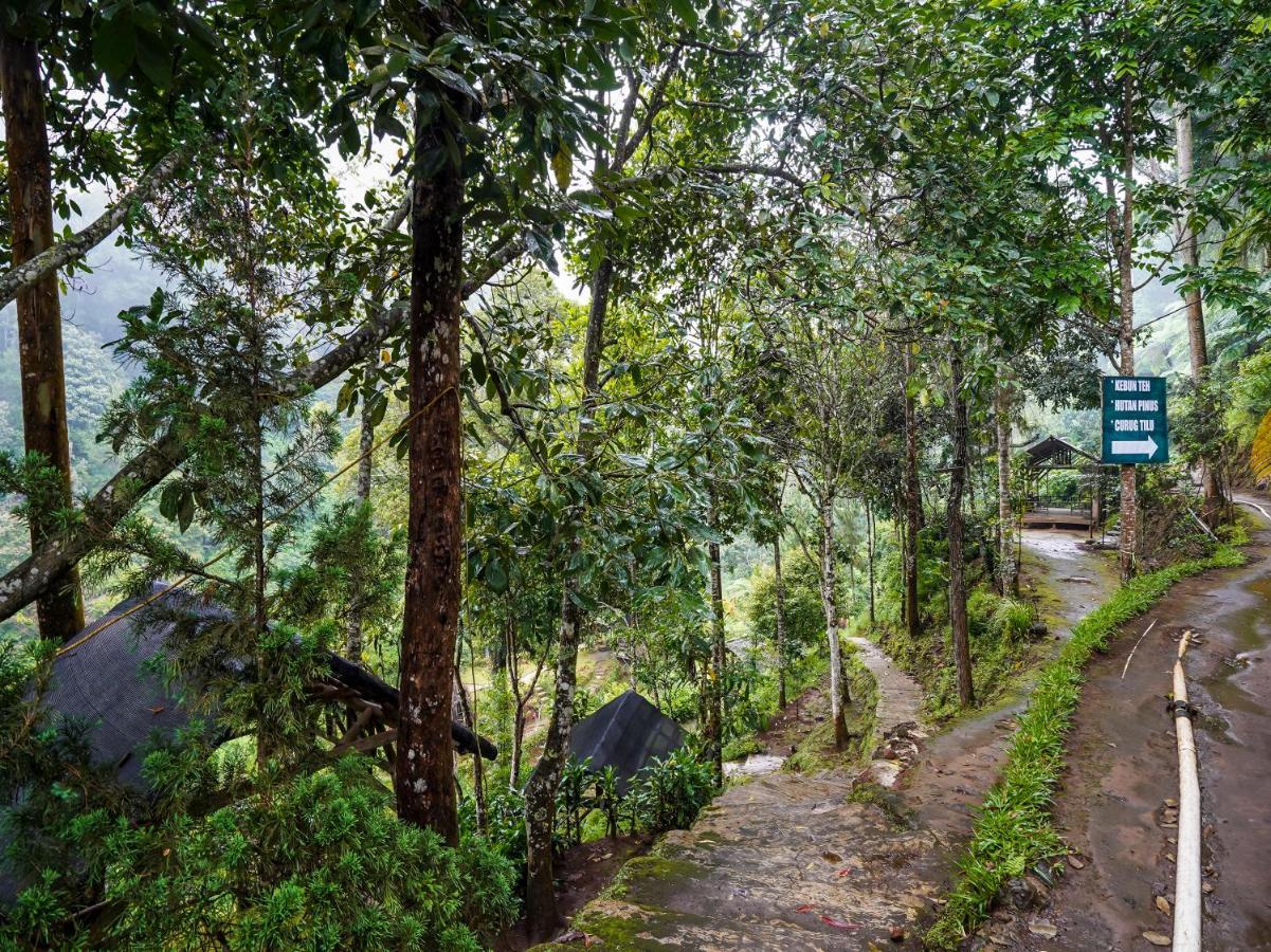 Oyo Homes 90915 Eco Tourism Desa Cihanjuang Rahayu Ciwangun Indah Camp Villas Bongkar Экстерьер фото